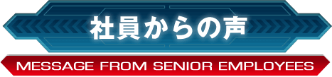 社員からの声